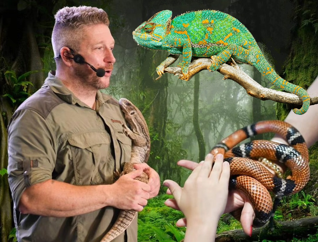 Állatbemutató